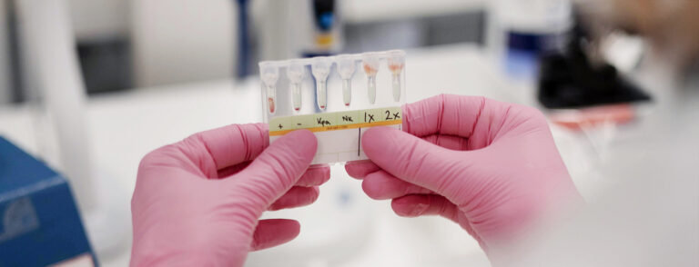 Veriryhmätutkimuksiin liittyvä geelikortti