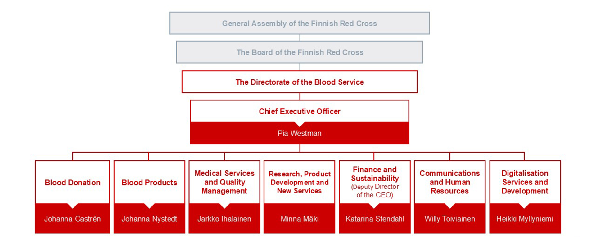 Chart of the Blood Service management organization