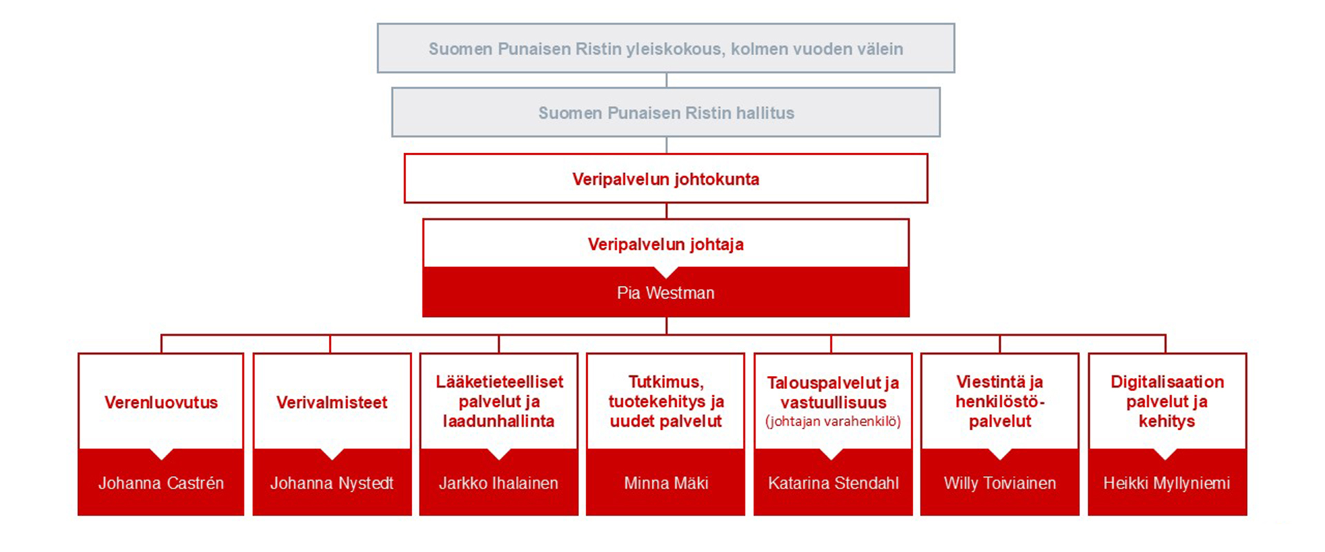 Kaavio Veripalvelun johdon organisaatiosta